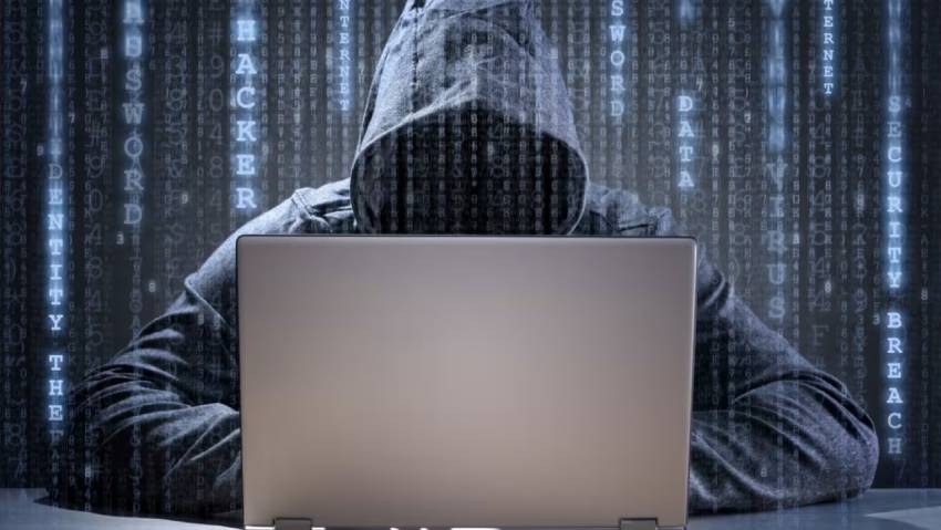 崇明县小程序定制开发：.NET的利刃与暗礁